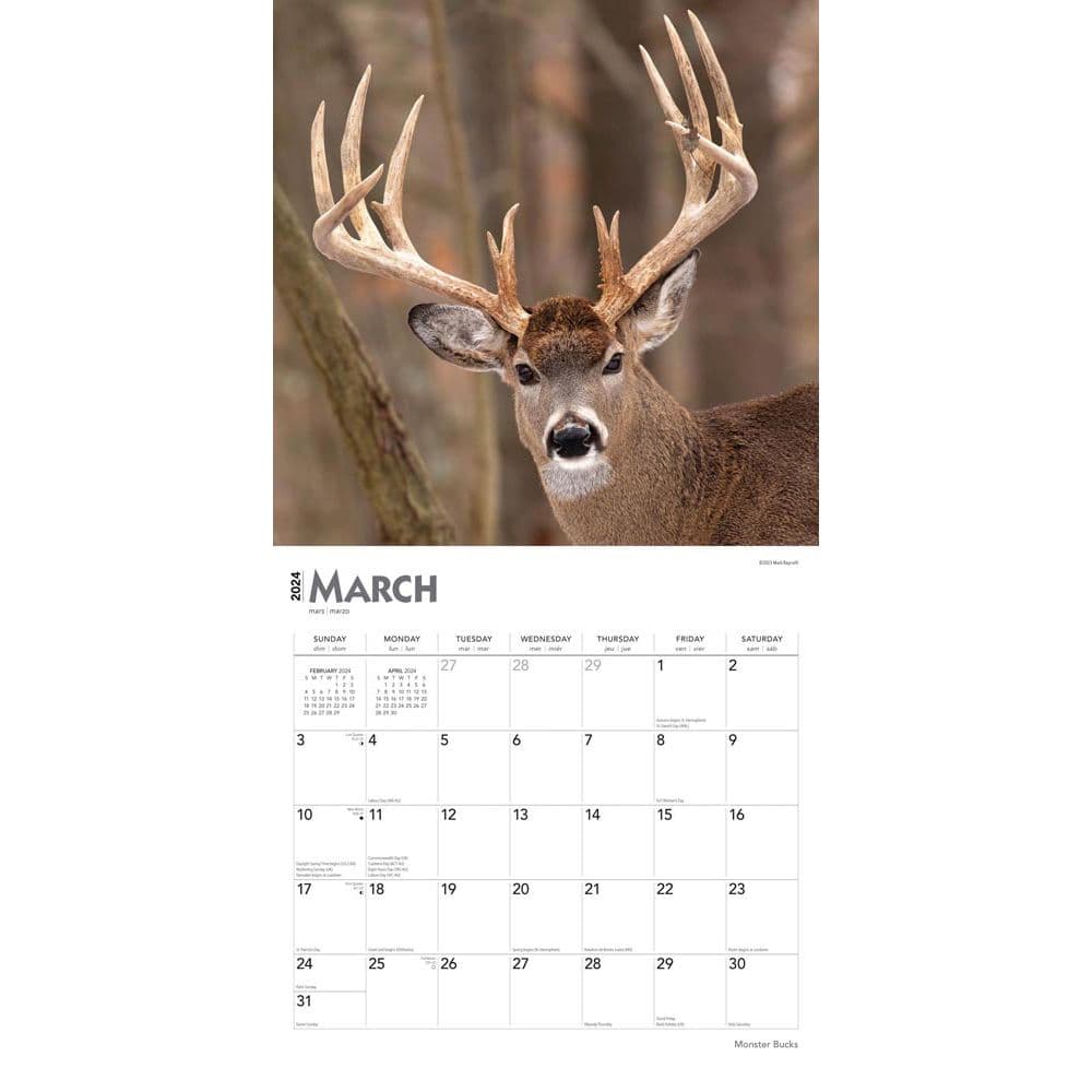 Monster Bucks 2024 Wall Calendar Alternate Image 2