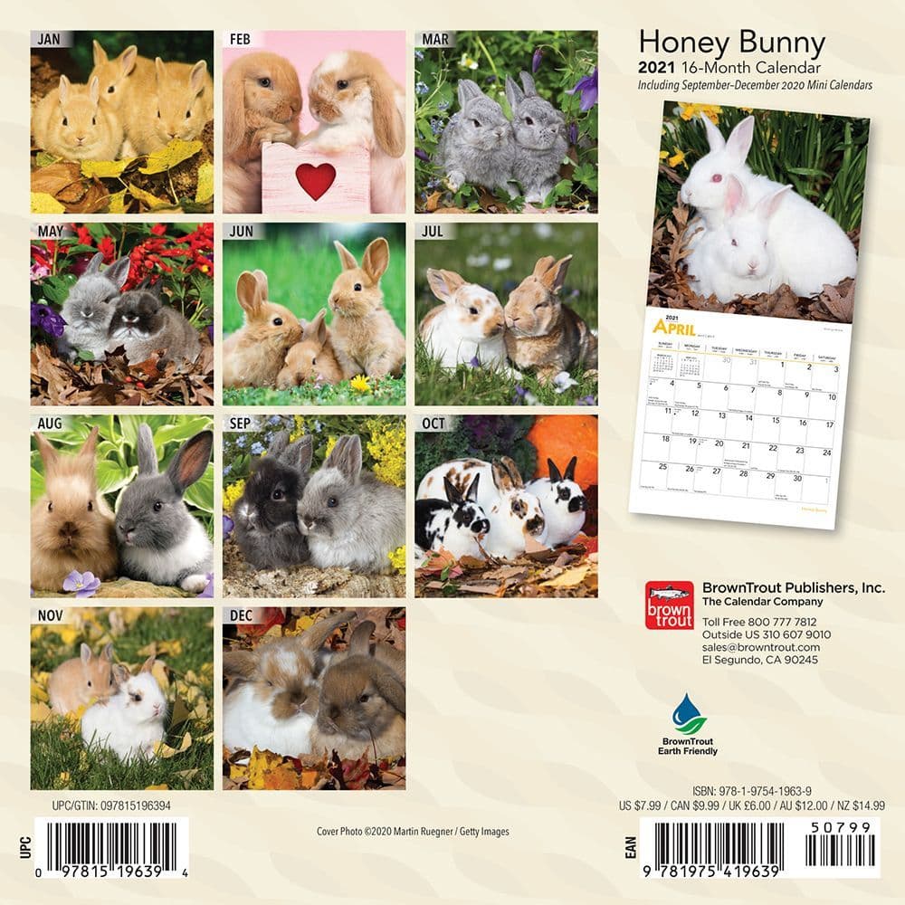 Honey Bunny Mini Wall Calendar