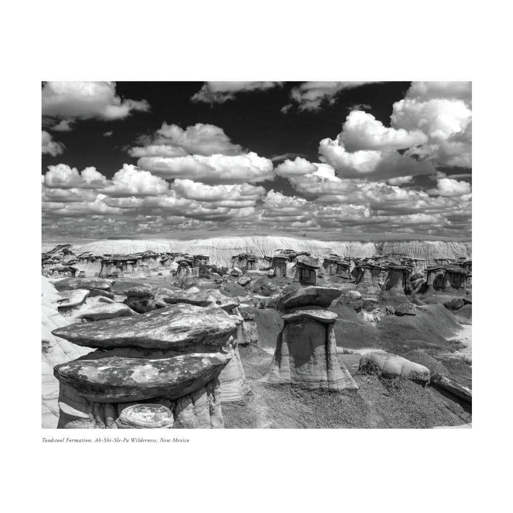 Lands of the Navajo 2025 Wall Calendar interior 1