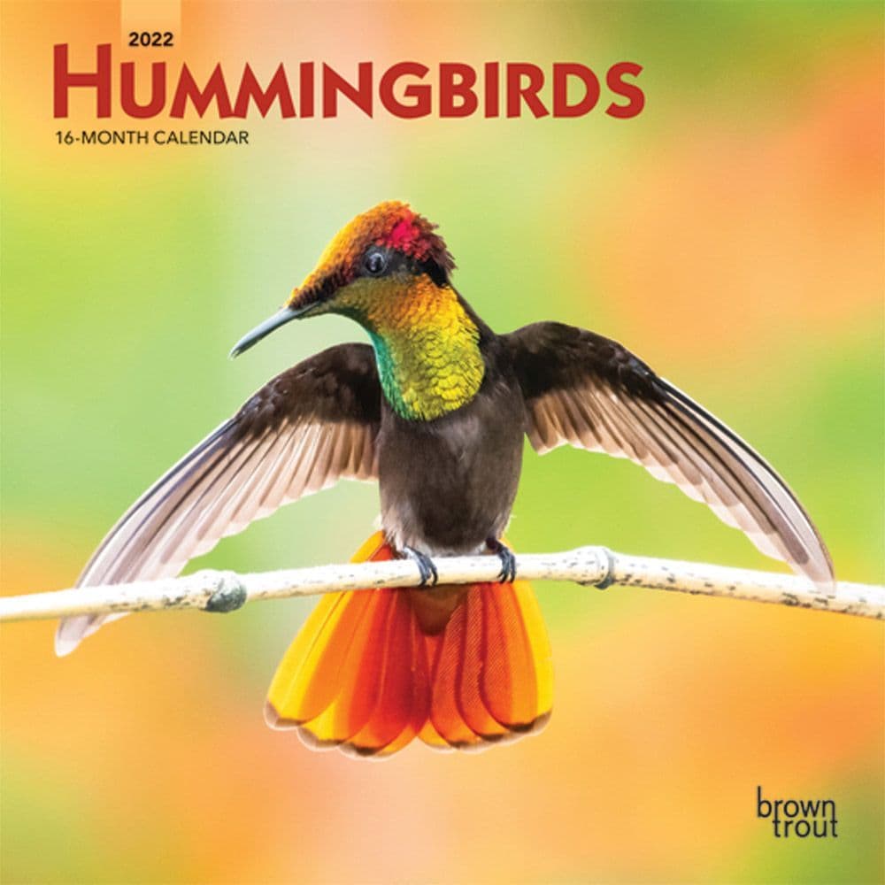 Hummingbirds 2022 Mini Wall Calendar