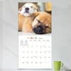 image Dog Dreams 2024 Wall Calendar Third Alternate Image width=&quot;1000&quot; height=&quot;1000&quot;
