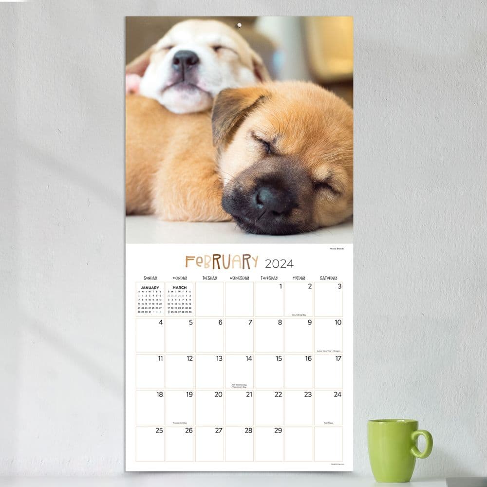 Dog Dreams 2024 Wall Calendar Third Alternate Image width=&quot;1000&quot; height=&quot;1000&quot;