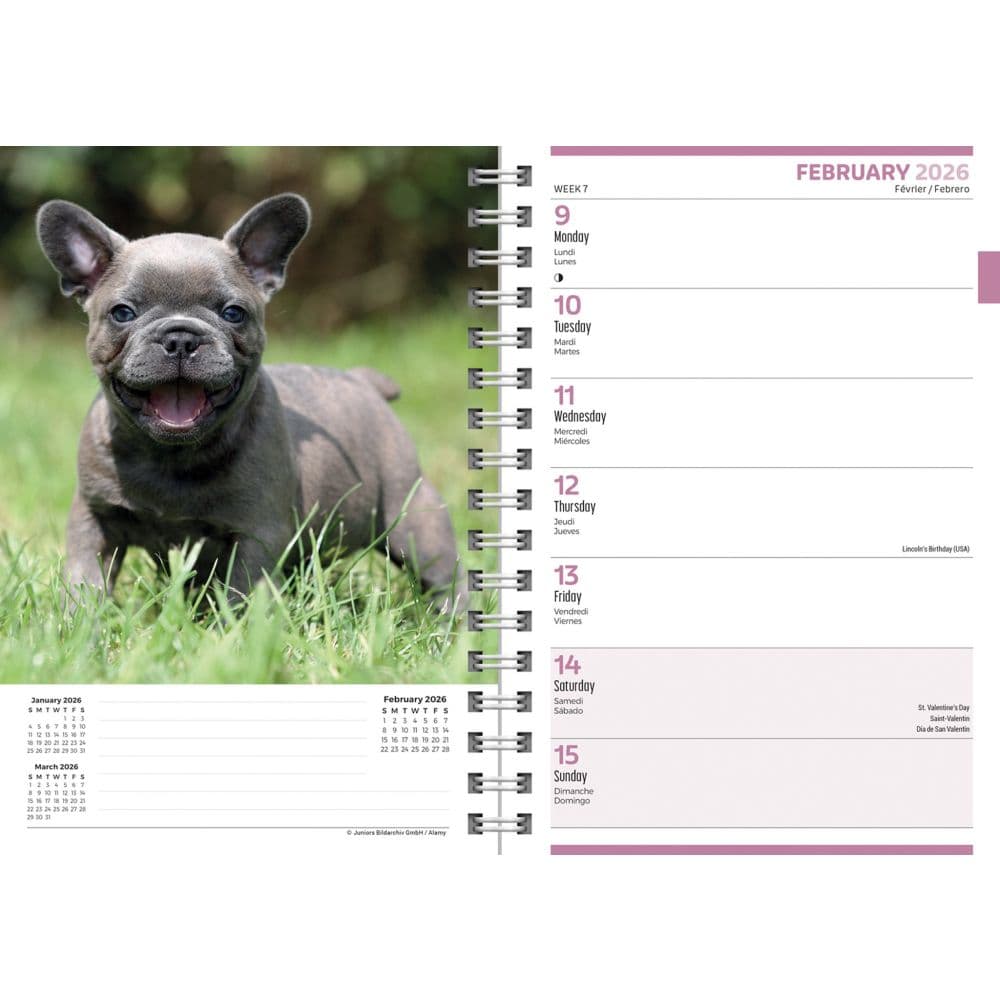 Puppies 2026 Engagement Planner Third Alternate Image