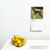 image Boxers International Edition 2024 Mini Wall Calendar Third Alternate Image width=&quot;1000&quot; height=&quot;1000&quot;