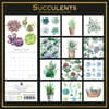 image Succulents 2024 Wall Calendar First Alternate Image width=&quot;1000&quot; height=&quot;1000&quot;