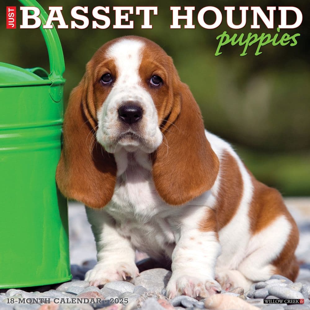 Just Basset Hound Puppies 2025 Wall Calendar Main Product Image width=&quot;1000&quot; height=&quot;1000&quot;