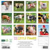 image 12 Little Piggies 2025 Wall Calendar