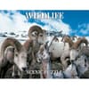 image Wildlife Scenic 300 Piece Puzzle Main Image