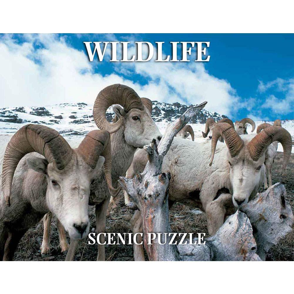 Wildlife Scenic 300 Piece Puzzle Main Image