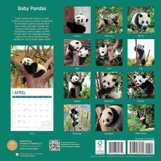Panda Calendar 2024