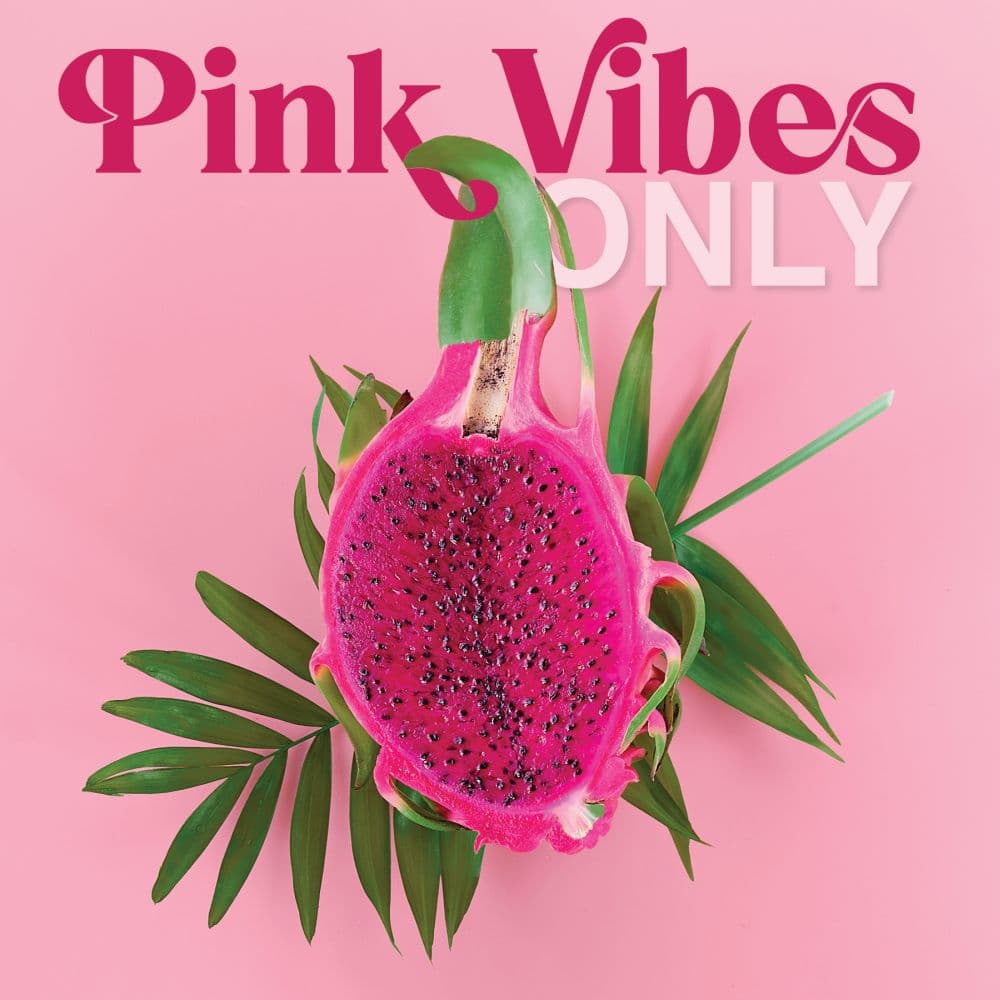 Pink Vibes Only 2027 Wall Calendar Main Product Image