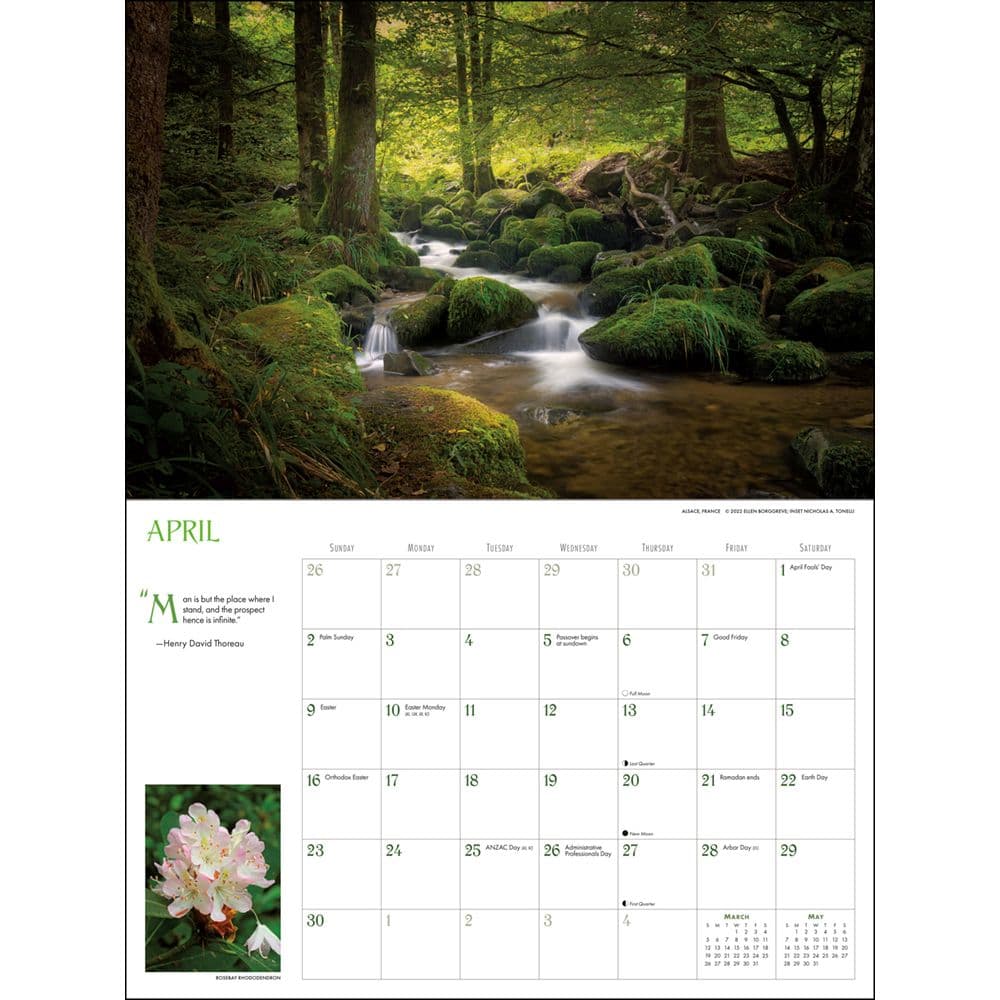 Into the Woods with Thoreau Emerson and Whitman 2023 Deluxe Wall Into the Woods with Thoreau Emerson and Whitman 2023 Deluxe Wall