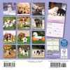 image Playful Puppies 2025 Mini Wall Calendar First Alternate Image width=&quot;1000&quot; height=&quot;1000&quot;