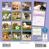 image Playful Puppies 2025 Mini Wall Calendar First Alternate Image width="1000" height="1000"