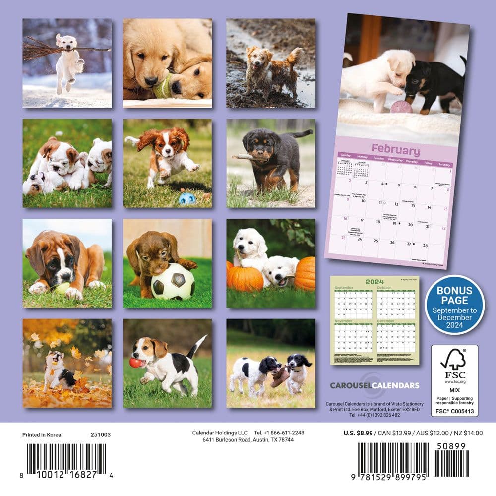 Playful Puppies 2025 Mini Wall Calendar First Alternate Image width="1000" height="1000"