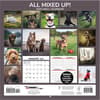 image All Mixed Up 2025 Wall Calendar Alt1