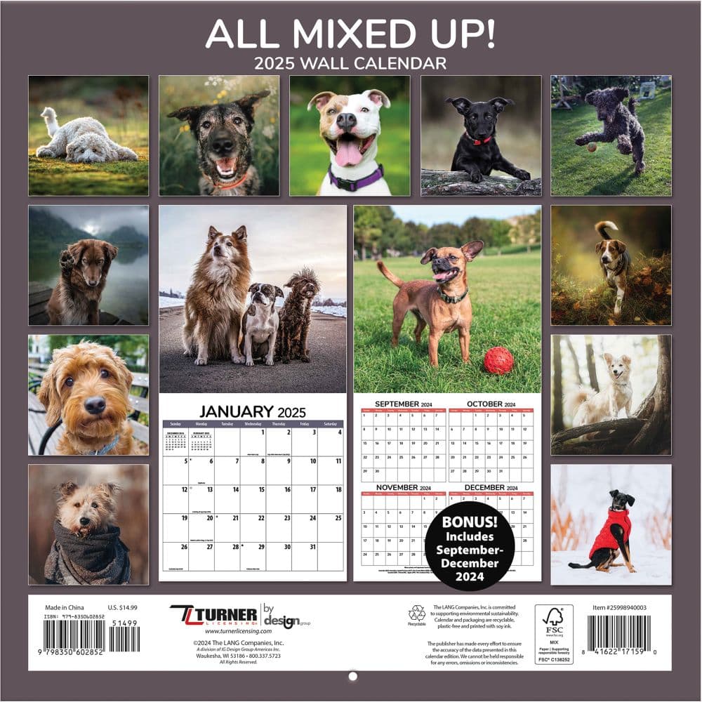 All Mixed Up 2025 Wall Calendar Alt1