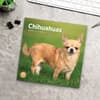 image Chihuahuas 2025 Wall Calendar Fourth Alternate Image