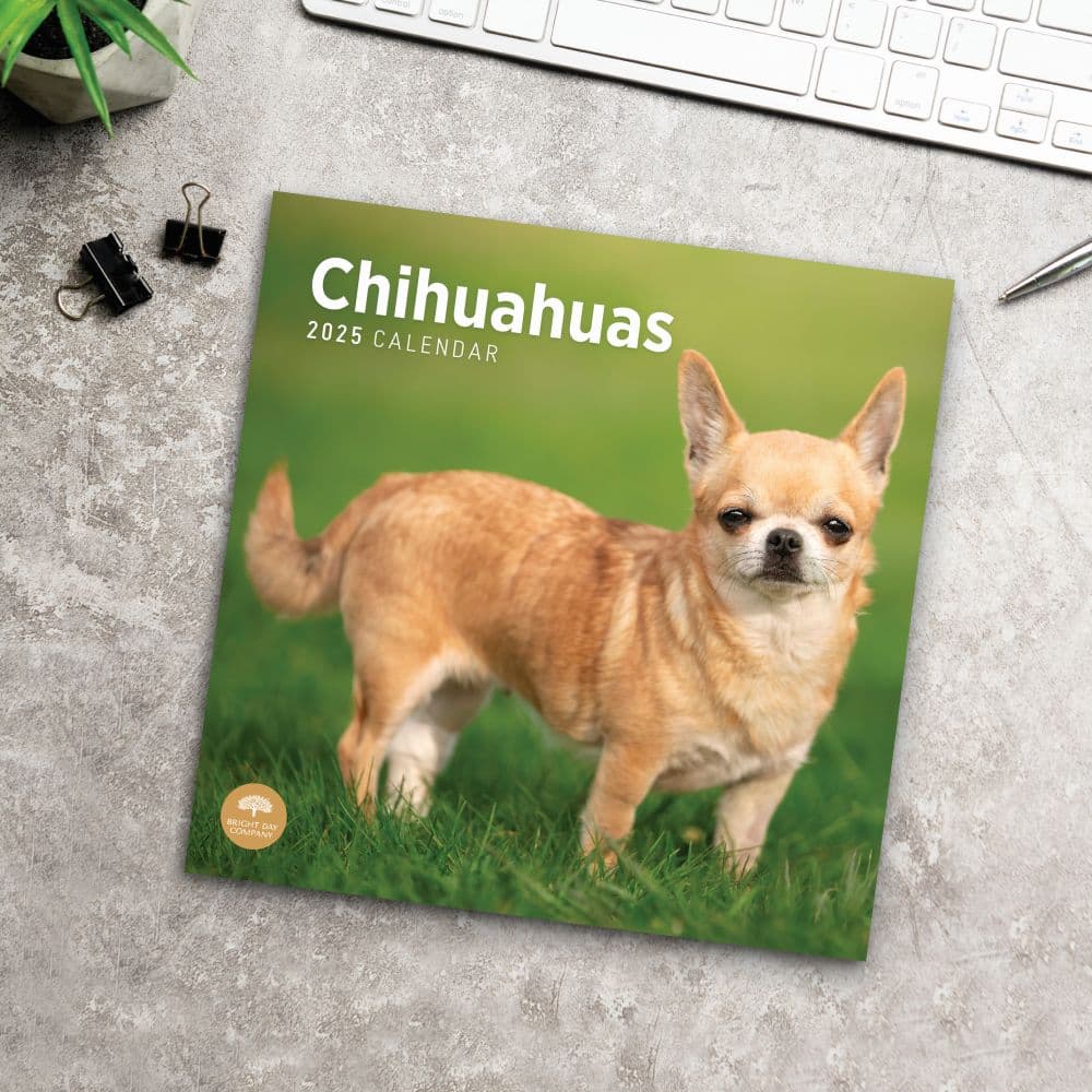 Chihuahuas 2025 Wall Calendar Fourth Alternate Image