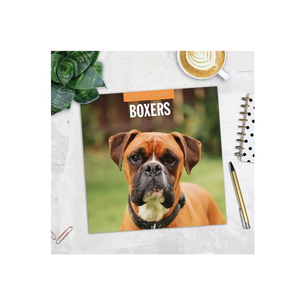 Boxers 2025 Wall Calendar Alt5