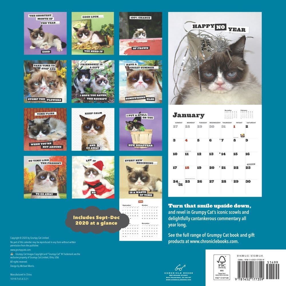 Grumpy Cat Wall Calendar Calendars com