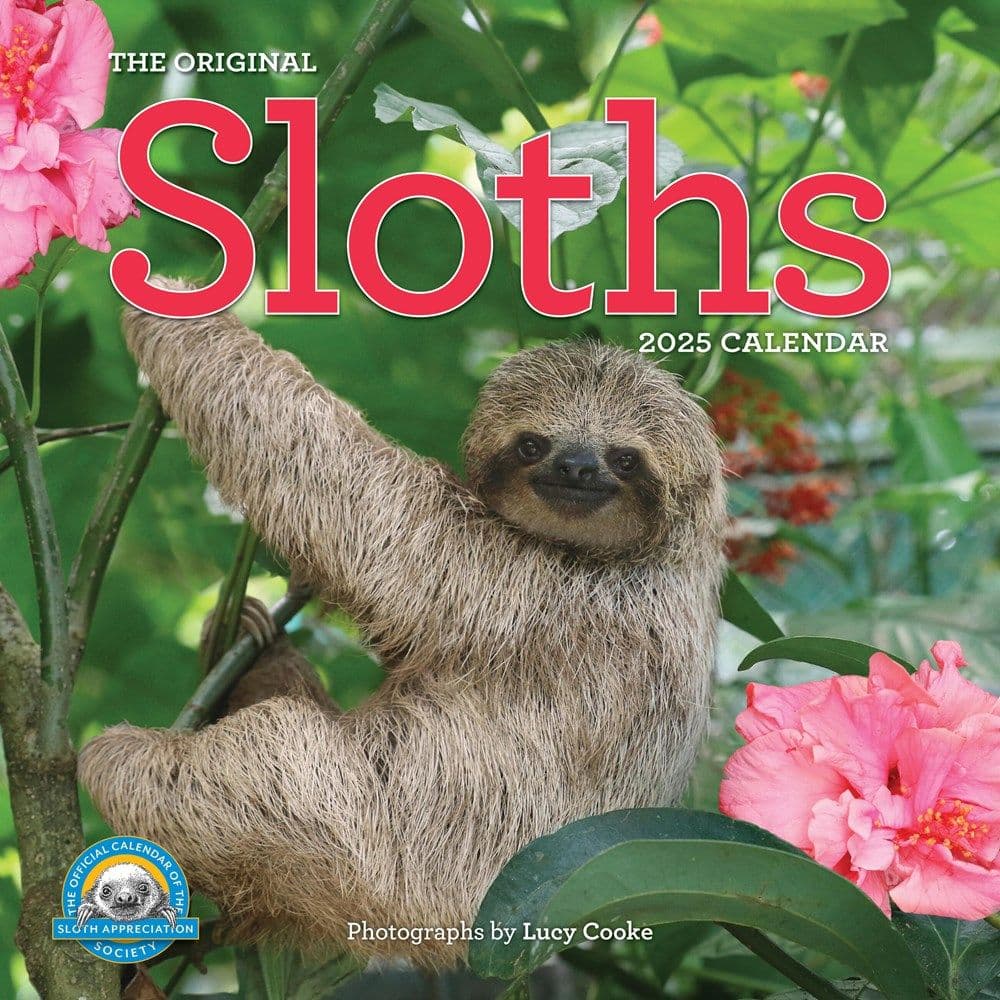 Hangin With Sloths 2025 Wall Calendar