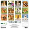 image Just Goldens 2025 Wall Calendar First Alternate Image width=&quot;1000&quot; height=&quot;1000&quot;