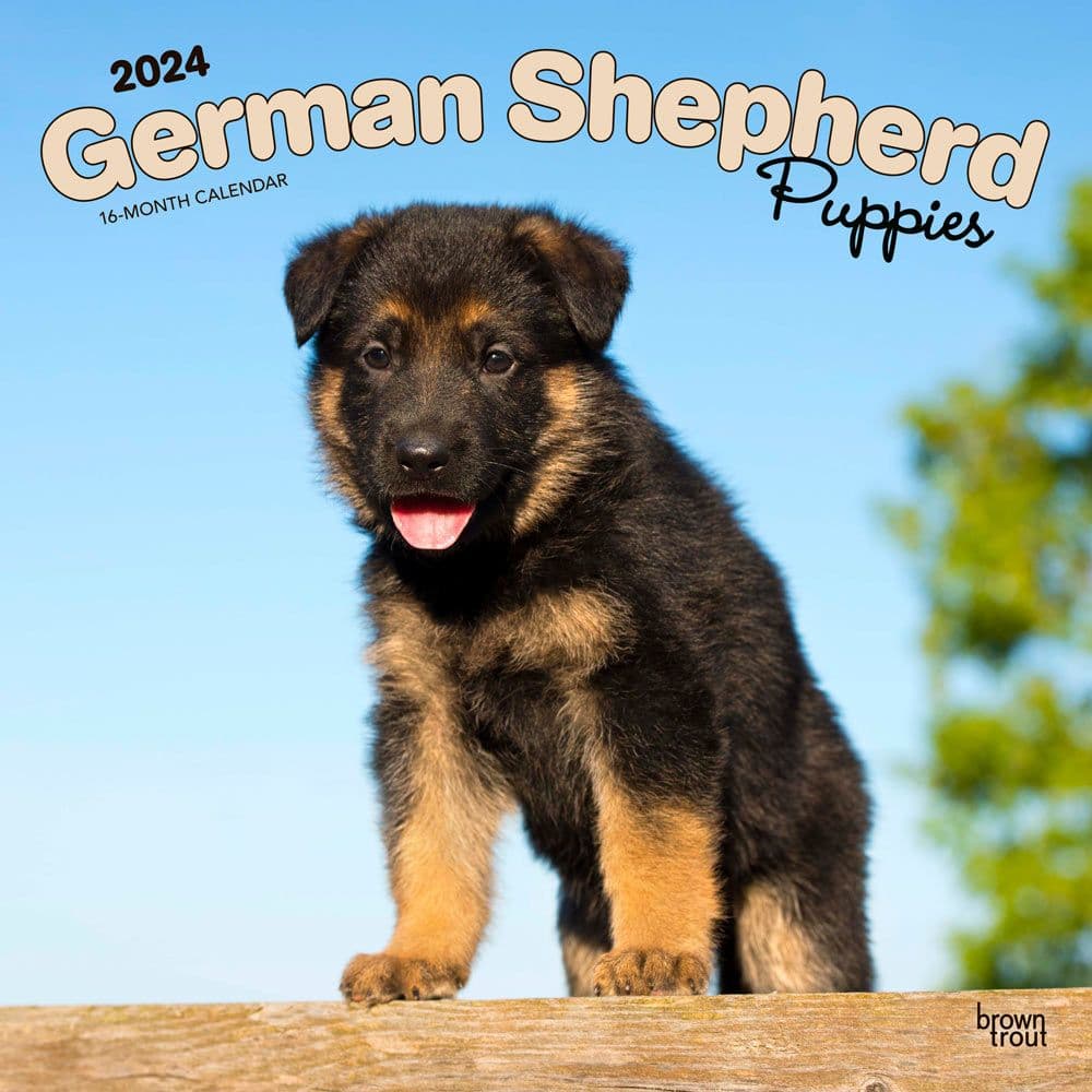 German Shepherd Puppies 2024 Wall Calendar