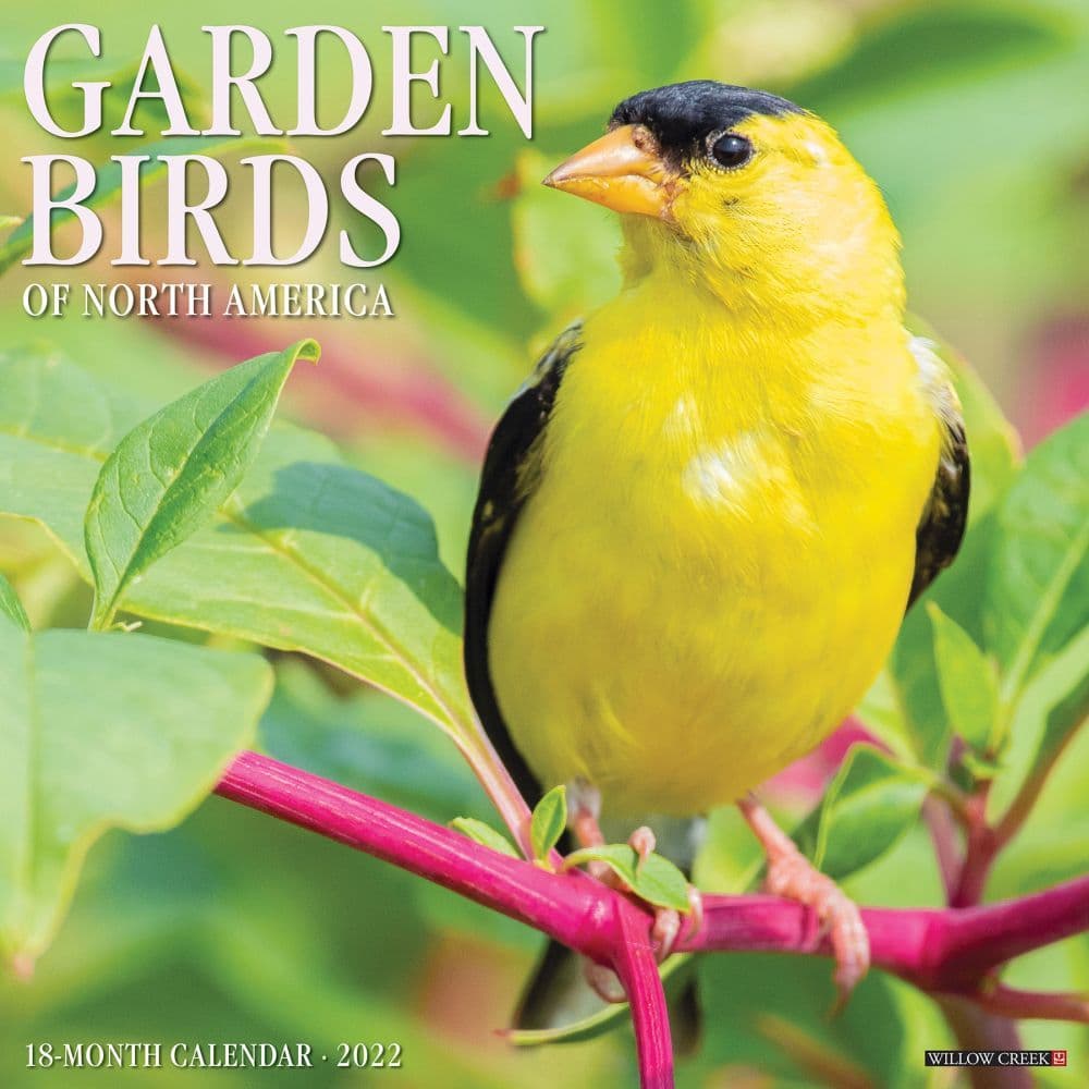 Birds Garden 2022 Wall Calendar