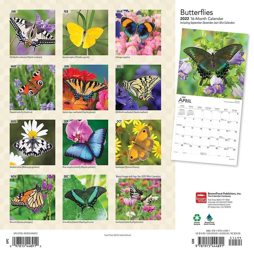 Butterfly 2022 Desk Calendar ID:12402