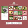 image Pugs 2027 Wall Calendar First Alternate Image