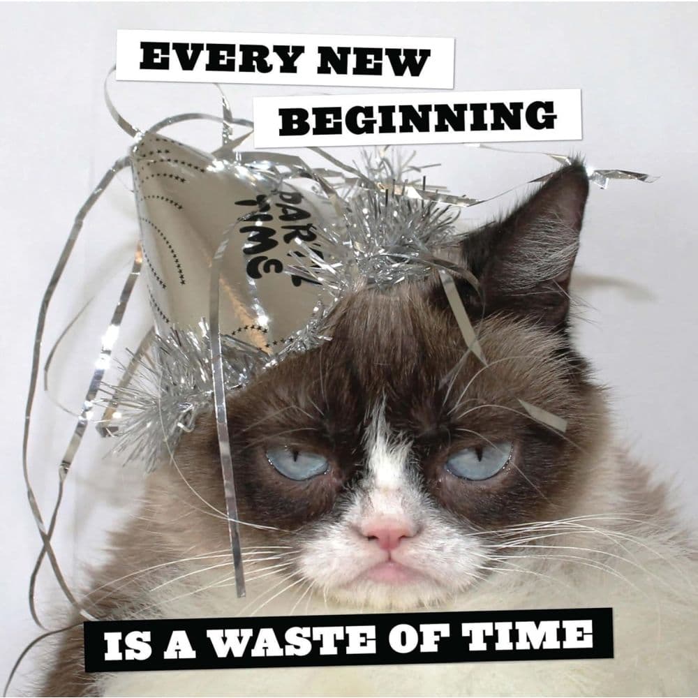 Grumpy Cat 2025 Wall Calendar First Alternate Image width=&quot;1000&quot; height=&quot;1000&quot;