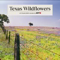image Texas Wildflowers 2026 Wall Calendar  Main Image