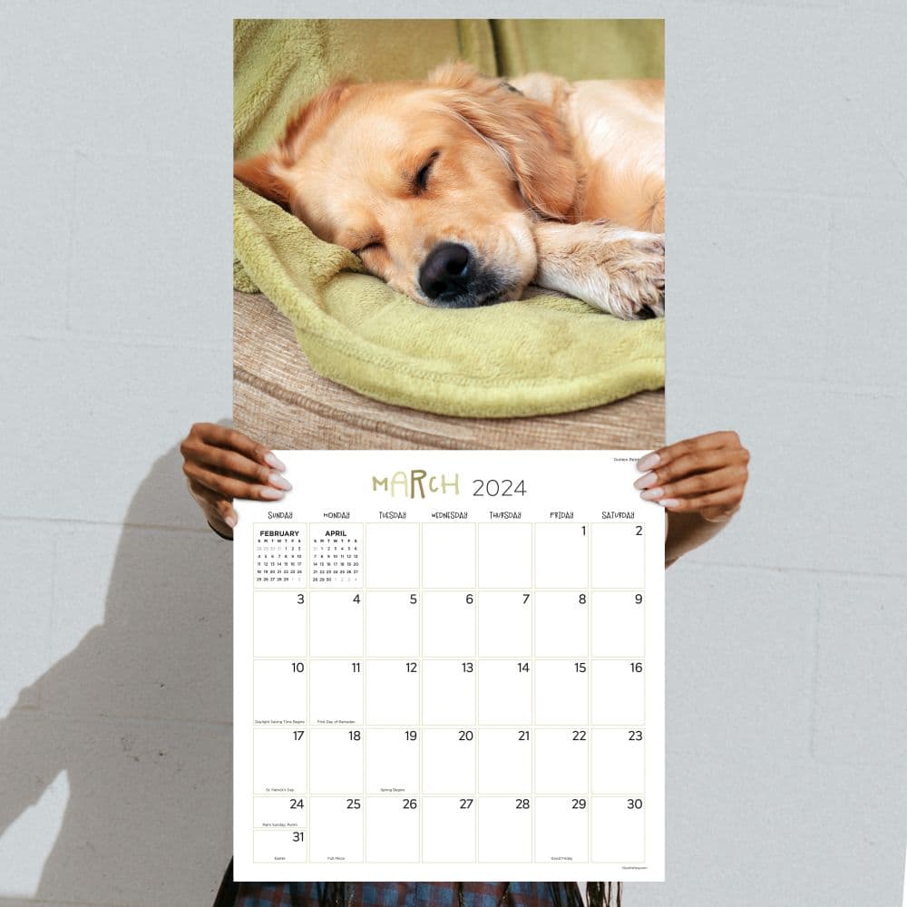 Dog Dreams 2024 Wall Calendar Fourth Alternate Image width=&quot;1000&quot; height=&quot;1000&quot;