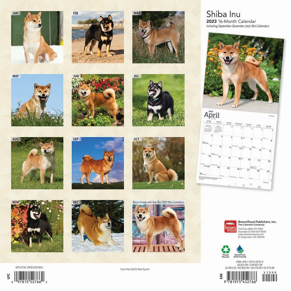 Shiba Inu 2023 Square Wall Calendar - Calendars.com