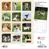 image Jack Russell Terrier Puppies 2024 Wall Calendar First Alternate Image width=&quot;1000&quot; height=&quot;1000&quot;