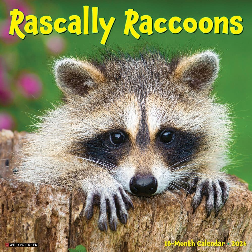 Rascally Raccoons 2026 Wall Calendar Main Image