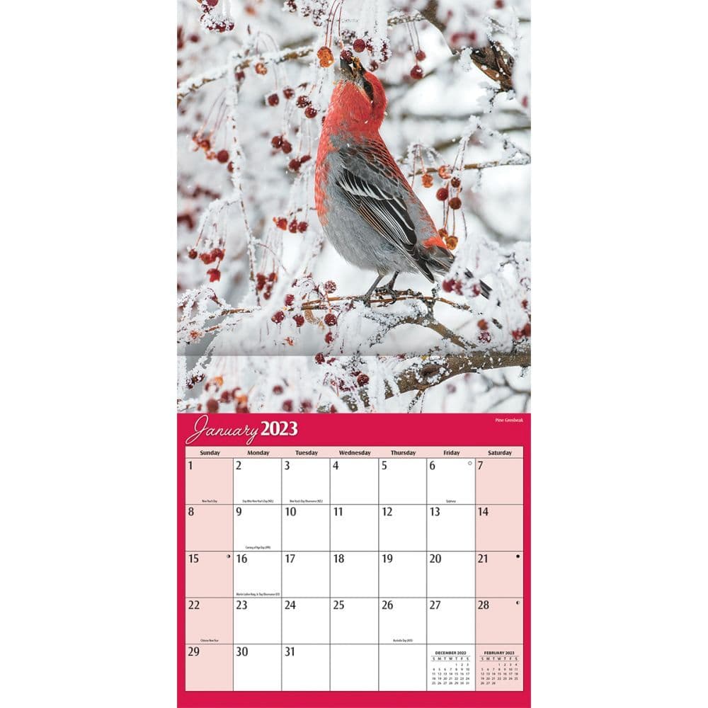 2020 Songbirds Mini Wall Calendar 