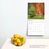 image California National Parks 2024 Wall Calendar Third Alternate  Image width=&quot;1000&quot; height=&quot;1000&quot;