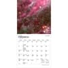 image Hubble Space Telescope 2027 Mini Wall Calendar Second Alternate Image