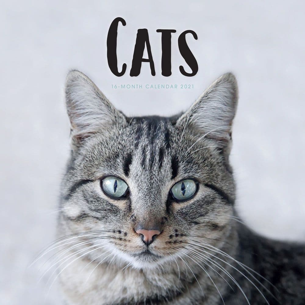 cats-wall-calendar-calendars