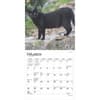 image Black Cats 2025 Mini Wall Calendar