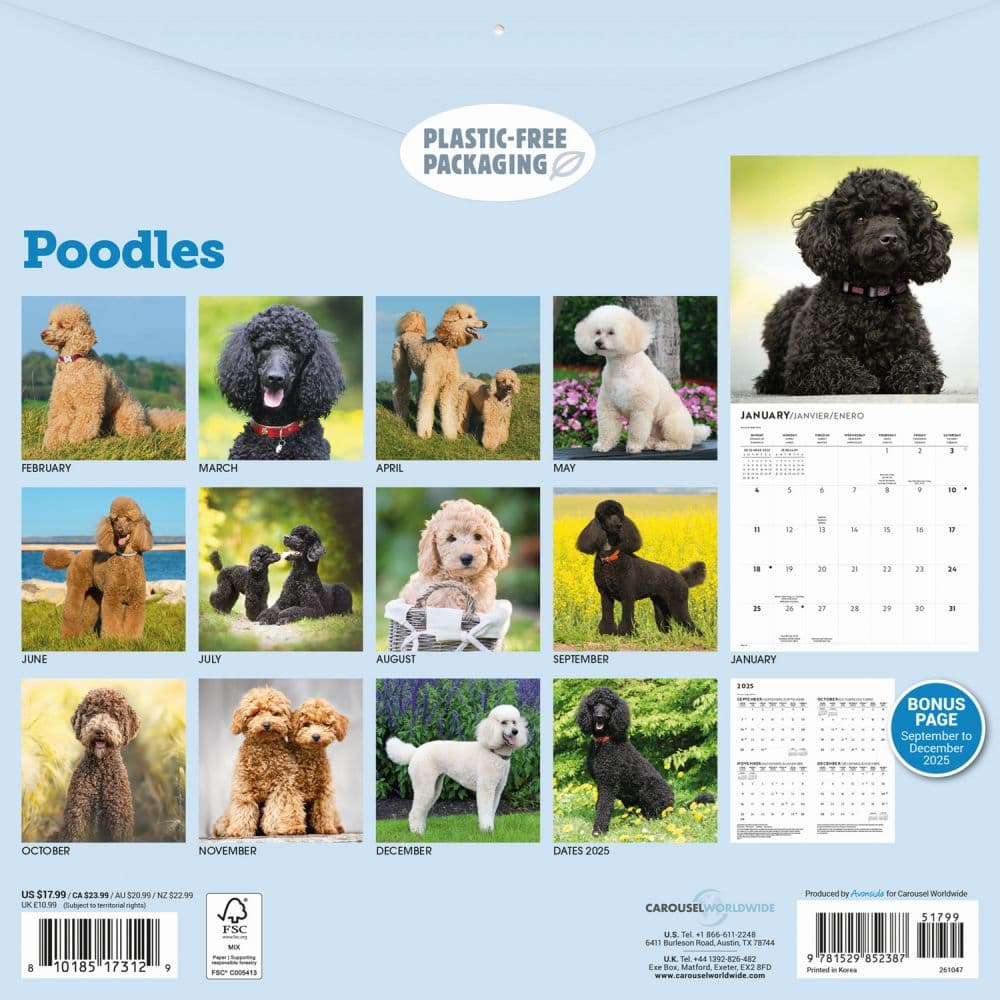 Poodles 2026 Wall Calendar First Alternate Image