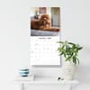 image Cavapoos 2027 Wall Calendar Fifth Alternate Image