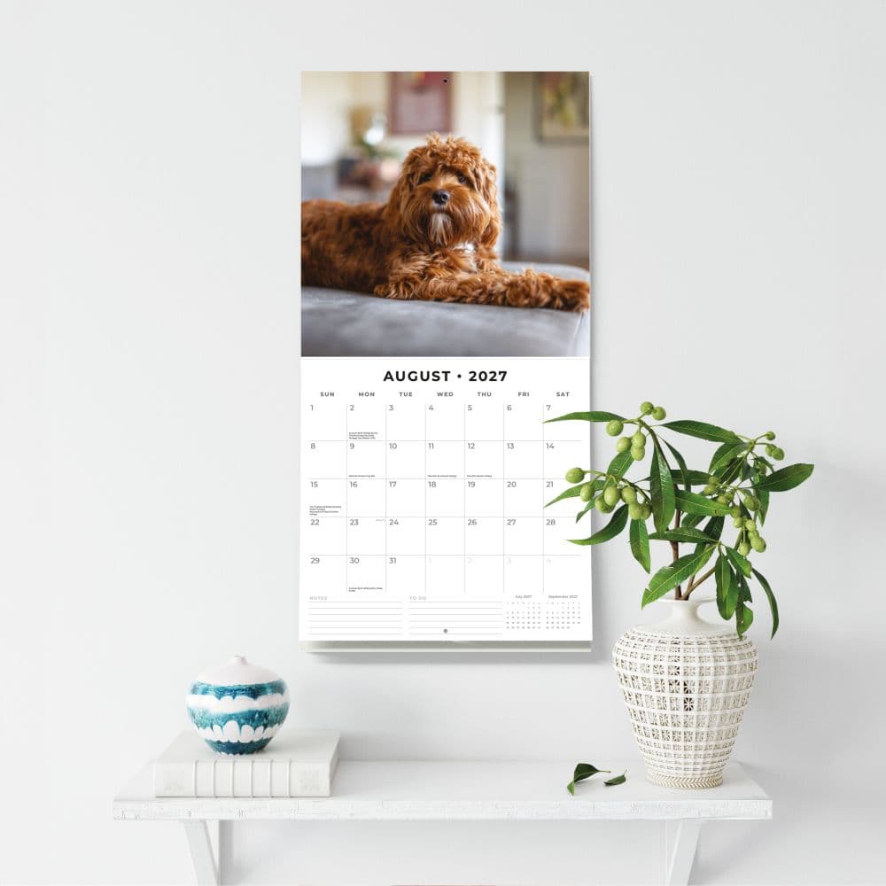 Cavapoos 2027 Wall Calendar Fifth Alternate Image