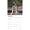 image Norwegian Elkhounds 2024 Wall Calendar Second Alternate Image width=&quot;1000&quot; height=&quot;1000&quot;