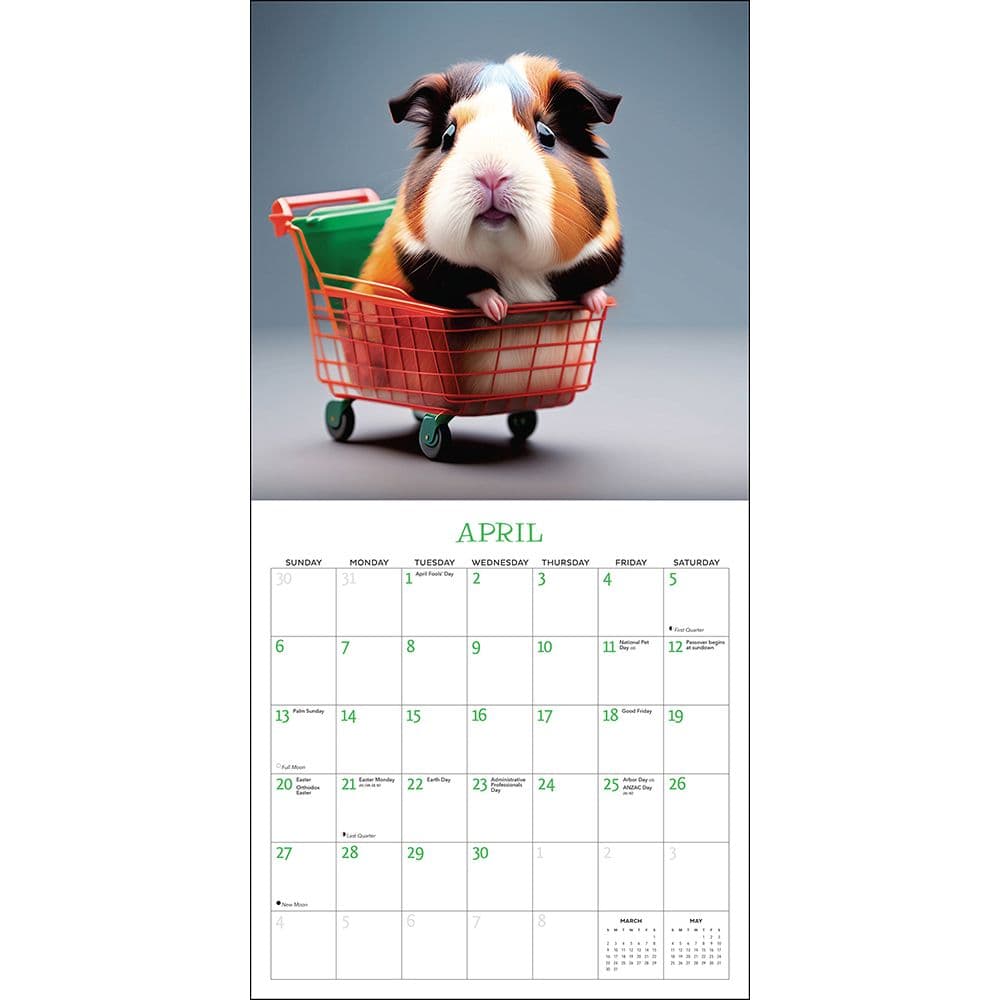 Guinea Pigs Rule 2025 Wall Calendar Calendars com Guinea Pigs Rule 2025 Wall Calendar Calendars com