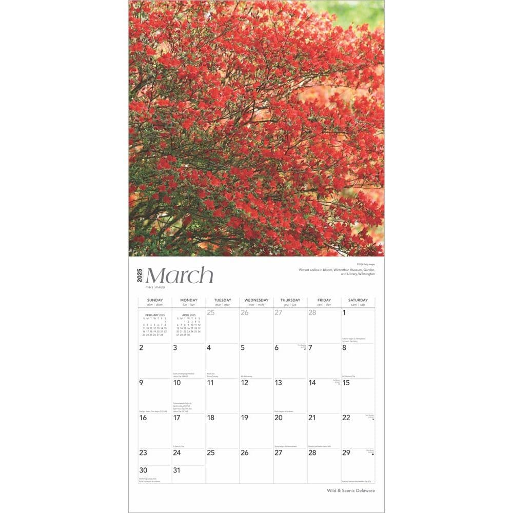 Delaware 2025 Wall Calendar Second Alternate Image