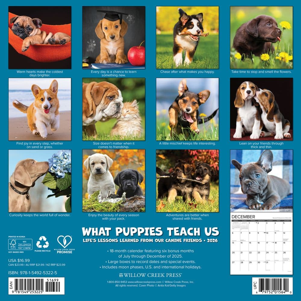 What Puppies Teach Us 2026 Wall Calendar First Alternate Image