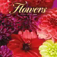 image Flowers Special Value 2026 Mini Wall Calendar Main Image